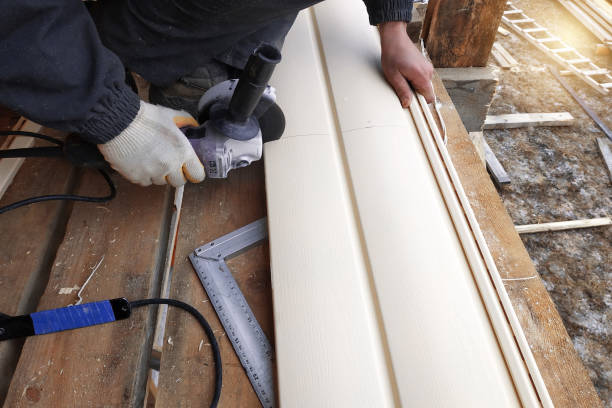 Professional Siding in Caledonia, MI