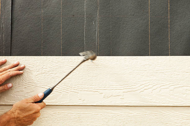 Best Weatherproofing and Sealing  in Caledonia, MI